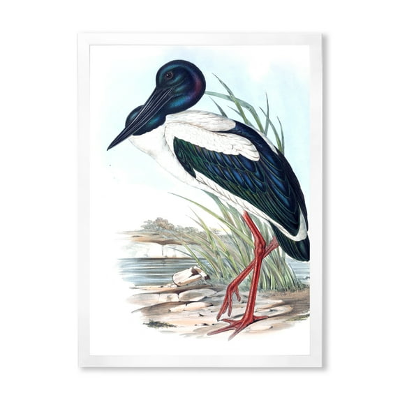 Designart 'Australian Vintage Birds I' Traditional Framed Art Print