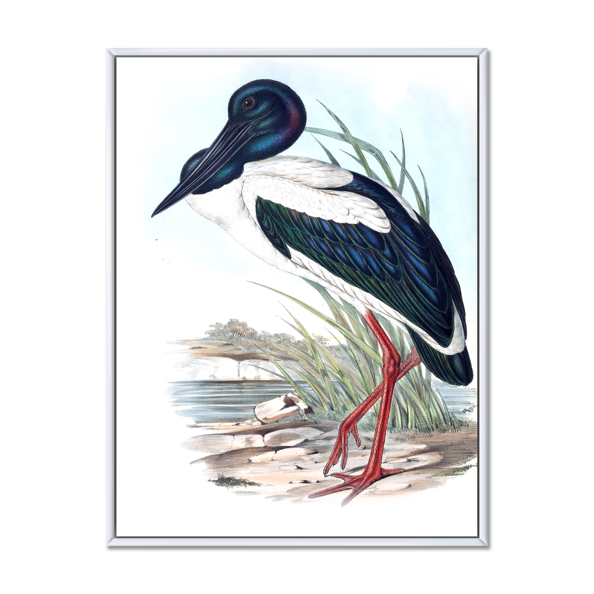 Designart 'Australian Vintage Birds I' Traditional Framed Canvas Wall Art Print