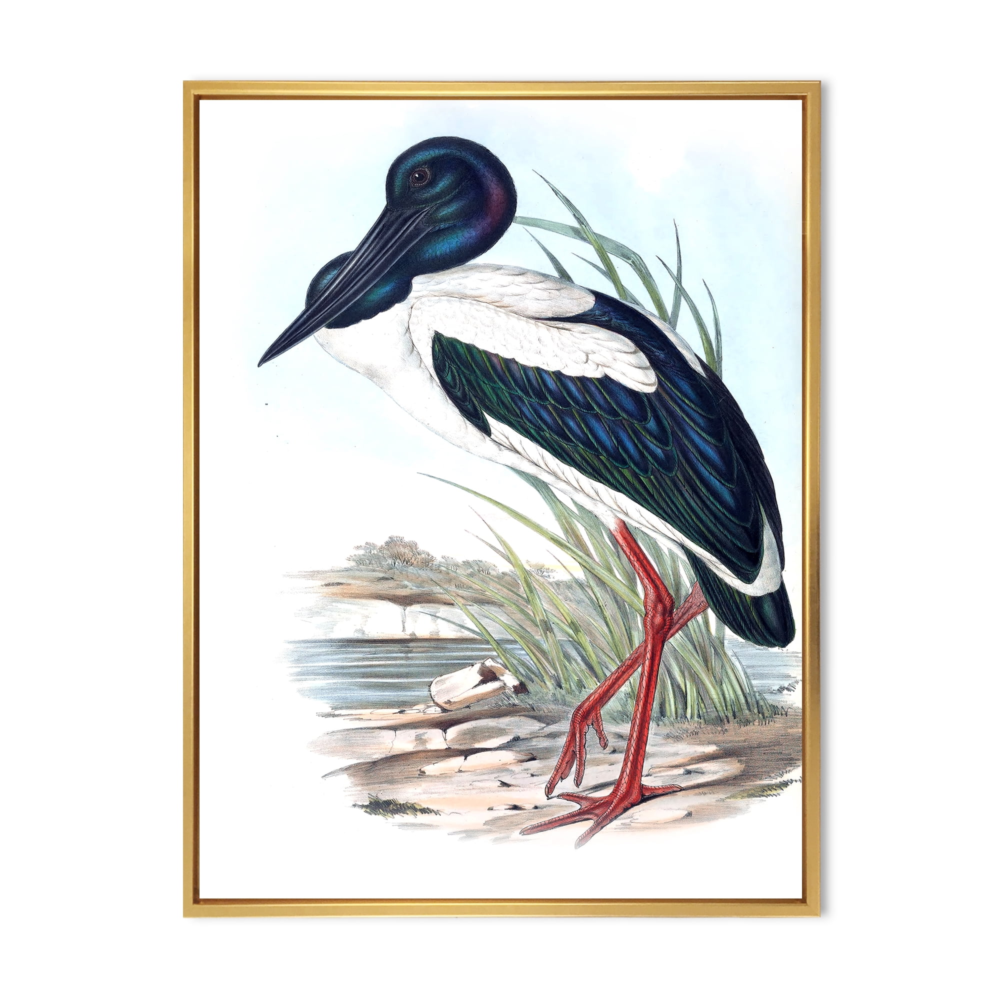 Designart 'Australian Vintage Birds I' Traditional Framed Canvas Wall Art Print