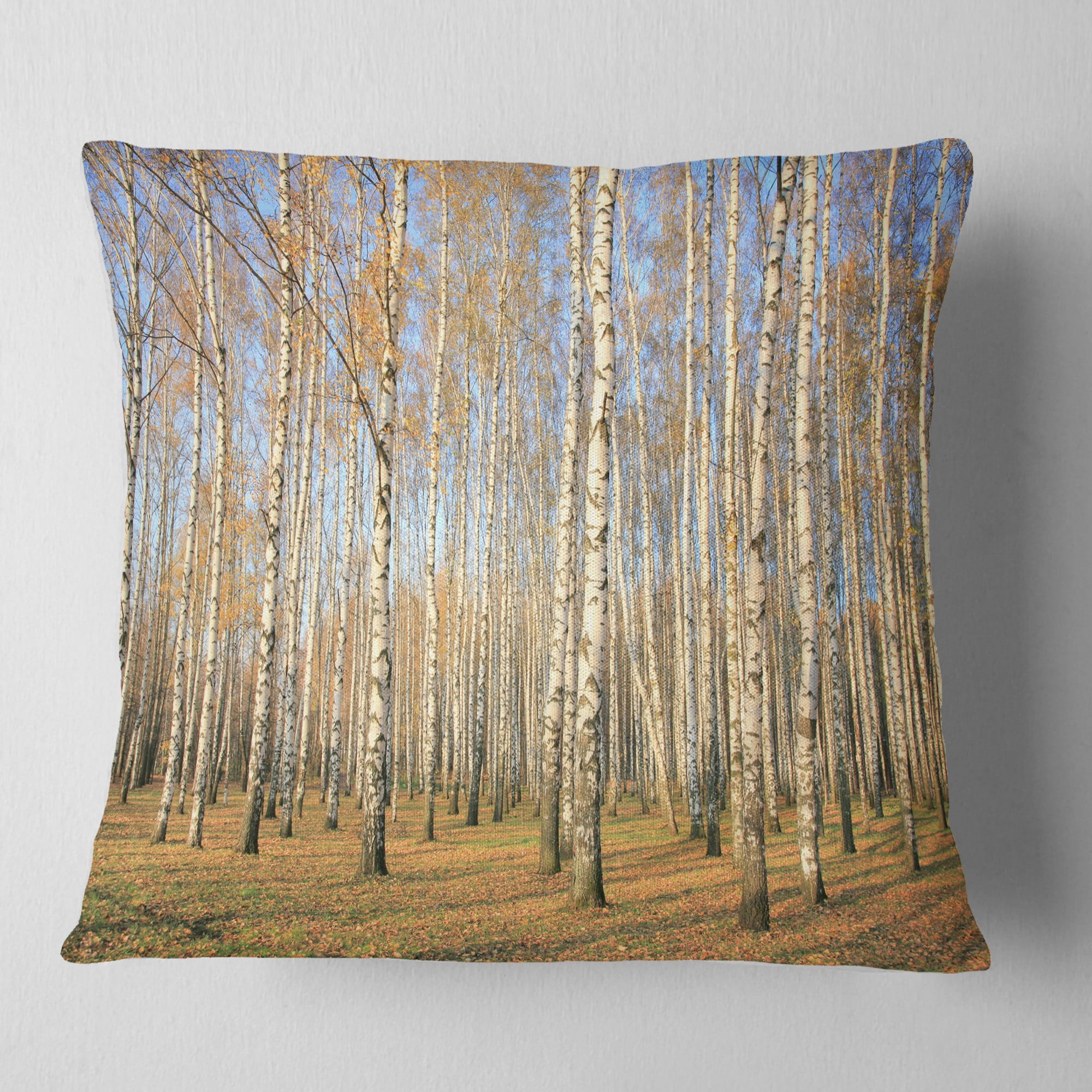Designart Autumn Birch Grove in Sunlight - Modern Forest Throw Pillow - 16x16