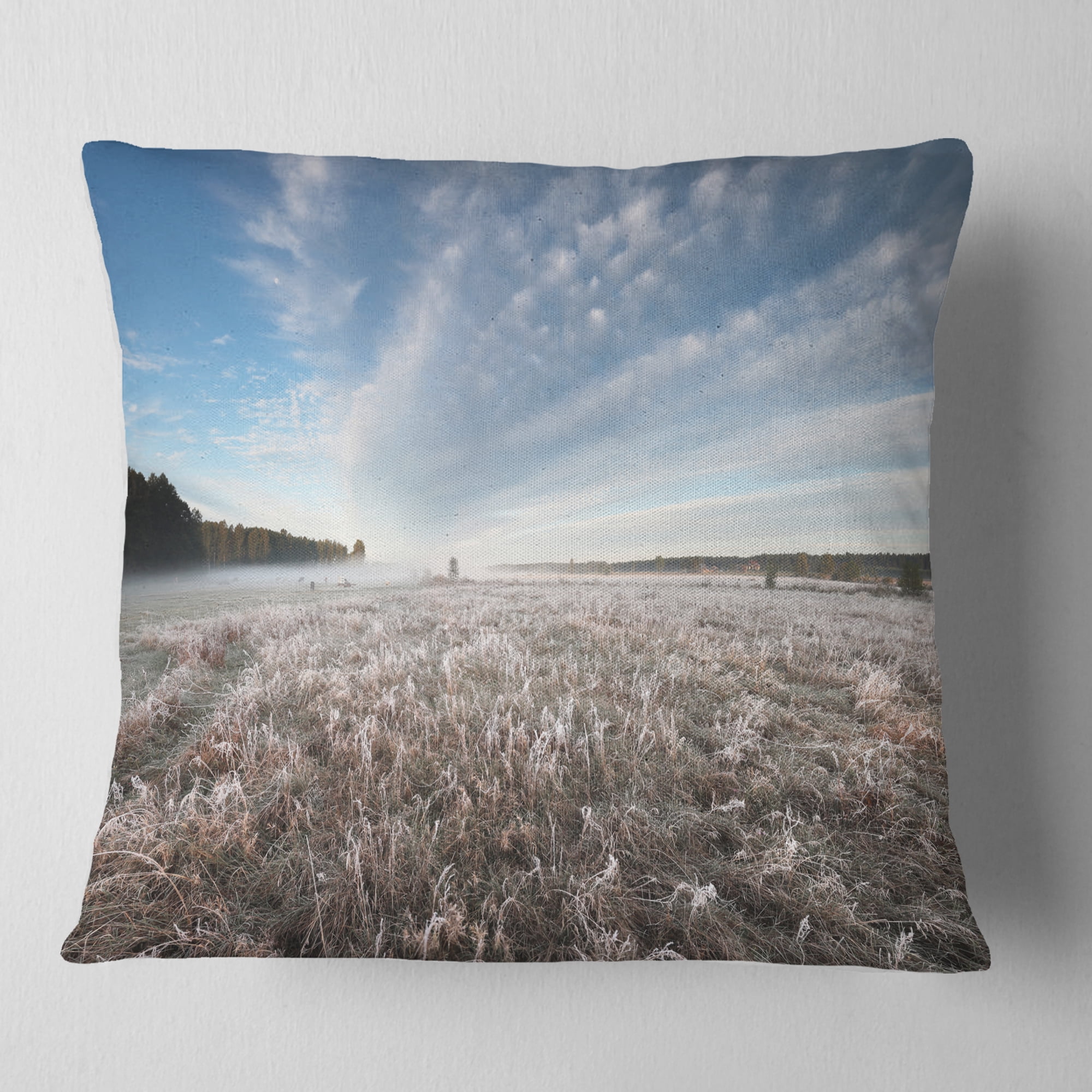 Designart Autumn Hoarfrost on Grass - Landscape Printed Throw Pillow - 16x16