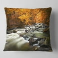 thumbnail image 1 of Designart Autumn Terrai With Trees and River - Landscape Printed Throw Pillow - 18x18, 1 of 4