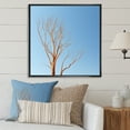 thumbnail image 1 of Designart "Azure Timber Lineage Snapshot I" Landscape Trees Floater Framed Canvas Prints, 1 of 5