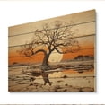 thumbnail image 1 of Designart "Baobab Dried Tree Charm" Tree Baobab Print on Natural Pine Wood, 1 of 5