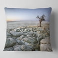 thumbnail image 1 of Designart Baobab Tree on Rocky Terrain - Landscape Printed Throw Pillow - 18x18, 1 of 4