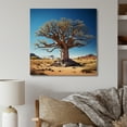thumbnail image 1 of Designart "Baobab Under The Stars" Tree Baobab Canvas Wall Art, 1 of 7