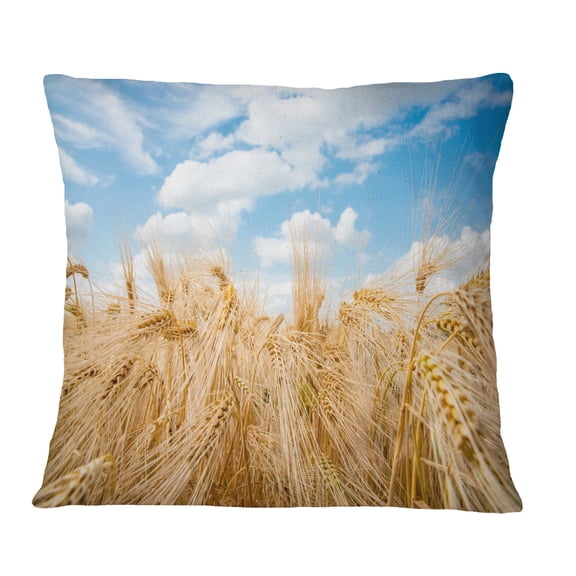 Designart Barley Field under Blue Sky - Landscape Printed Throw Pillow - 16x16