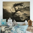 thumbnail image 1 of Designart "Beach Photo Coastal Euphony II" Nautical & Beach Print on Natural Pine Wood, 1 of 5
