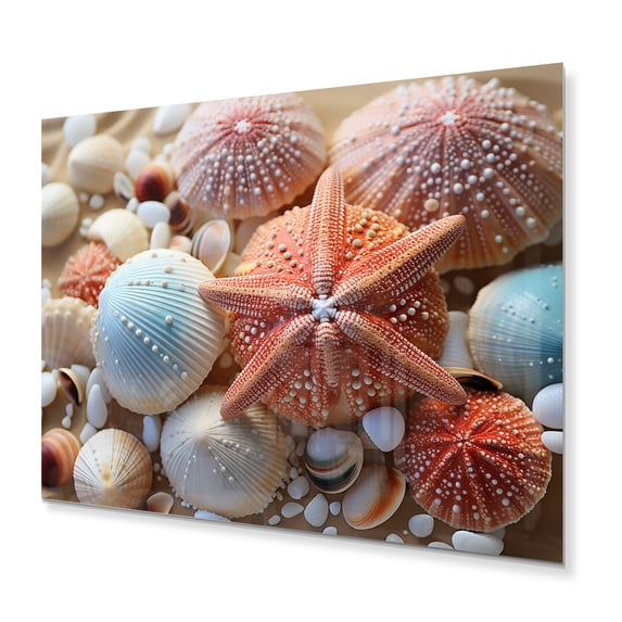 Designart "Beach Photo Seashell composition VII" Nautical & Beach Metal Wall Decor