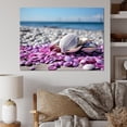 thumbnail image 1 of Designart "Beach Shells And Forms I" Nautical & Beach Wall Art Living Room, 1 of 5