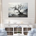 thumbnail image 1 of Designart "Beach Tree Photo Charm" Coastal Beach Wall Art Print, 1 of 5