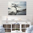 thumbnail image 1 of Designart "Beach Tree silence II" Nautical & Beach Metal Wall Decor, 1 of 5