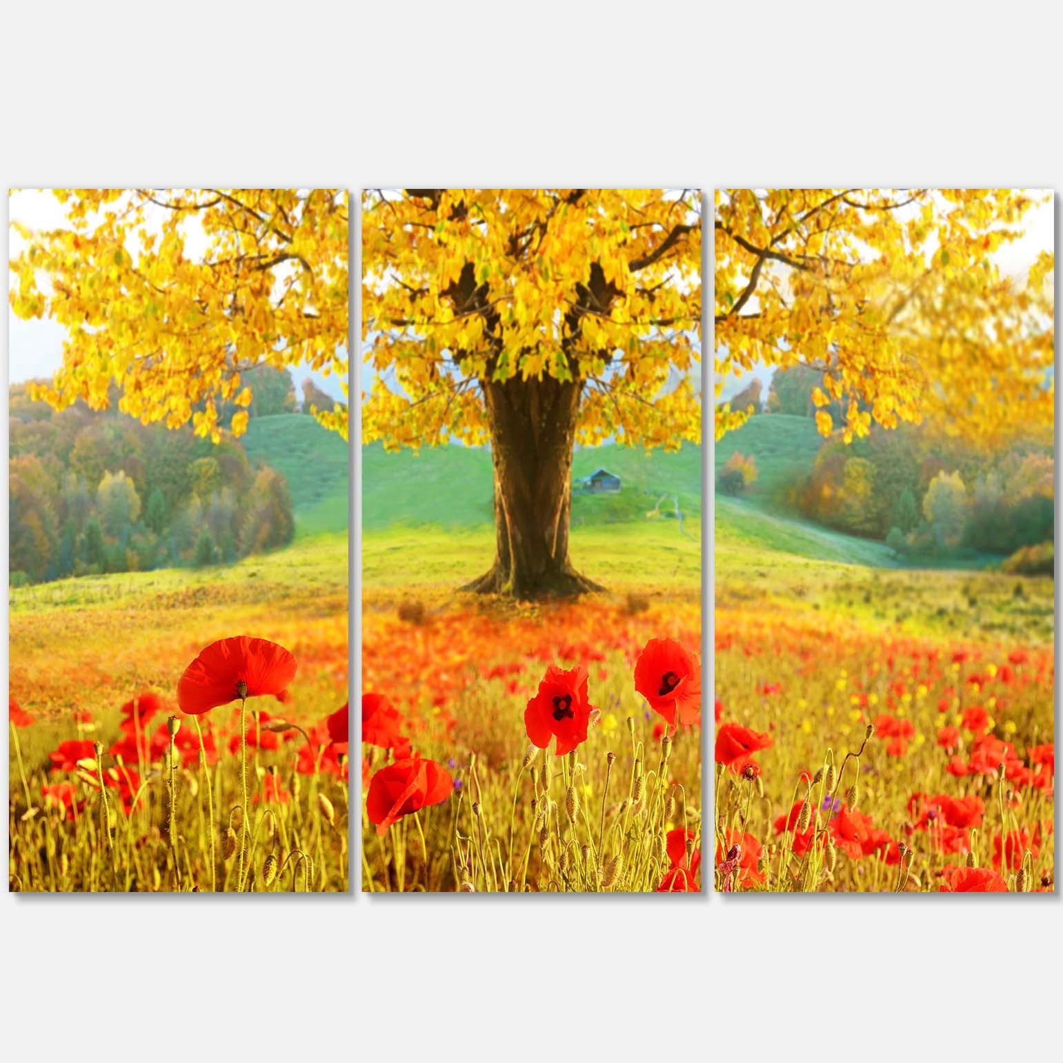 Designart 'Beautiful Autumn Yellow Tree ' Floral Canvas Art Print