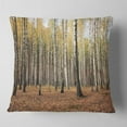 thumbnail image 1 of Designart Beautiful Birch Forest Photography - Modern Forest Throw Pillow - 16x16, 1 of 4