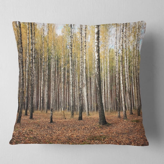Designart Beautiful Birch Forest Photography - Modern Forest Throw Pillow - 16x16