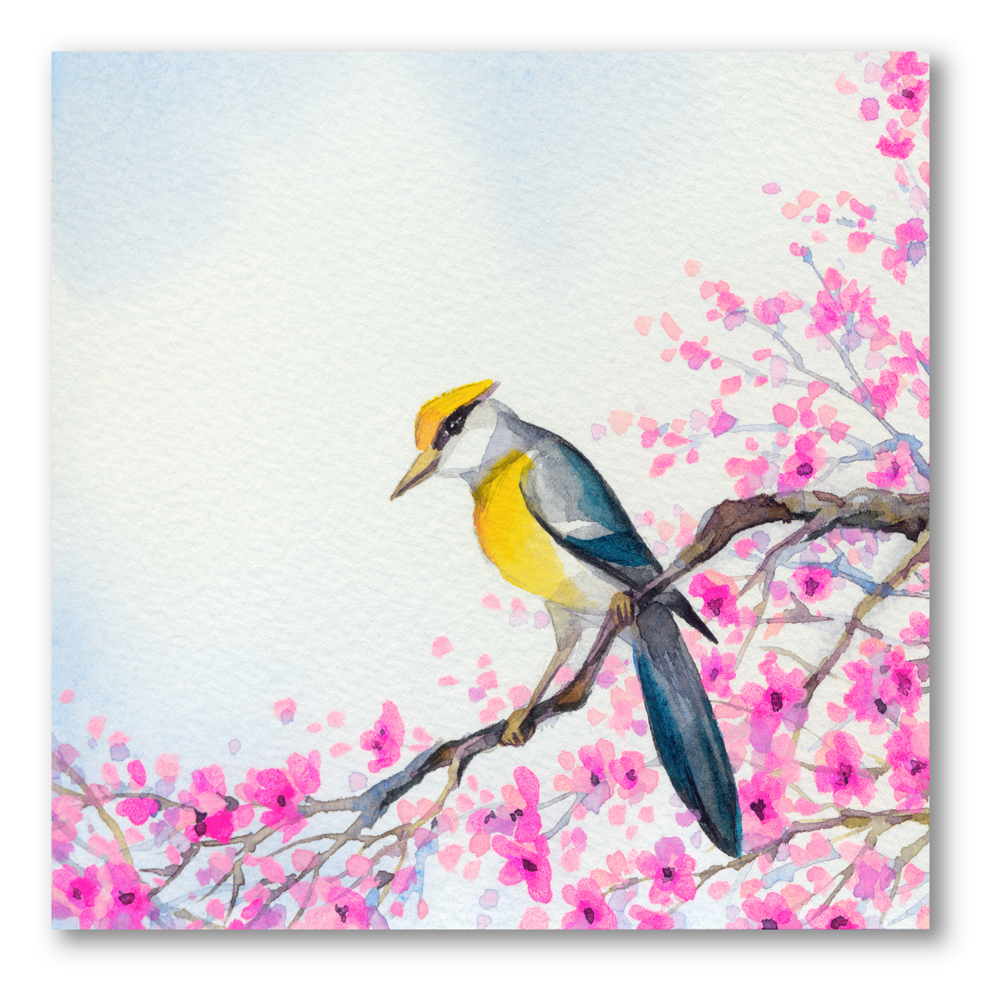 Designart ' Beautiful Bird Sitting On Flowering Branch ' Traditional Canvas Wall Art Print