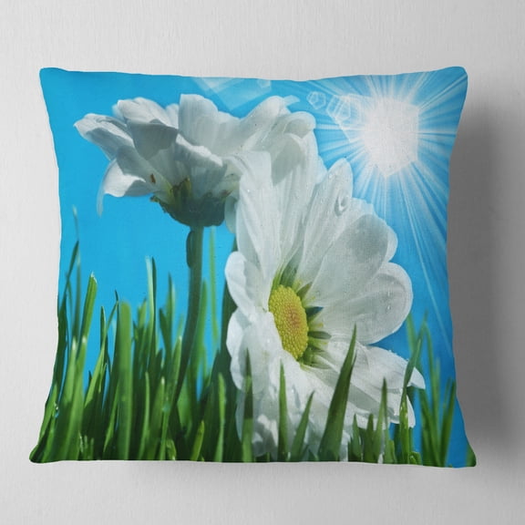 Designart Beautiful Chamomiles in Bright Sunlight - Floral Throw Pillow - 16x16