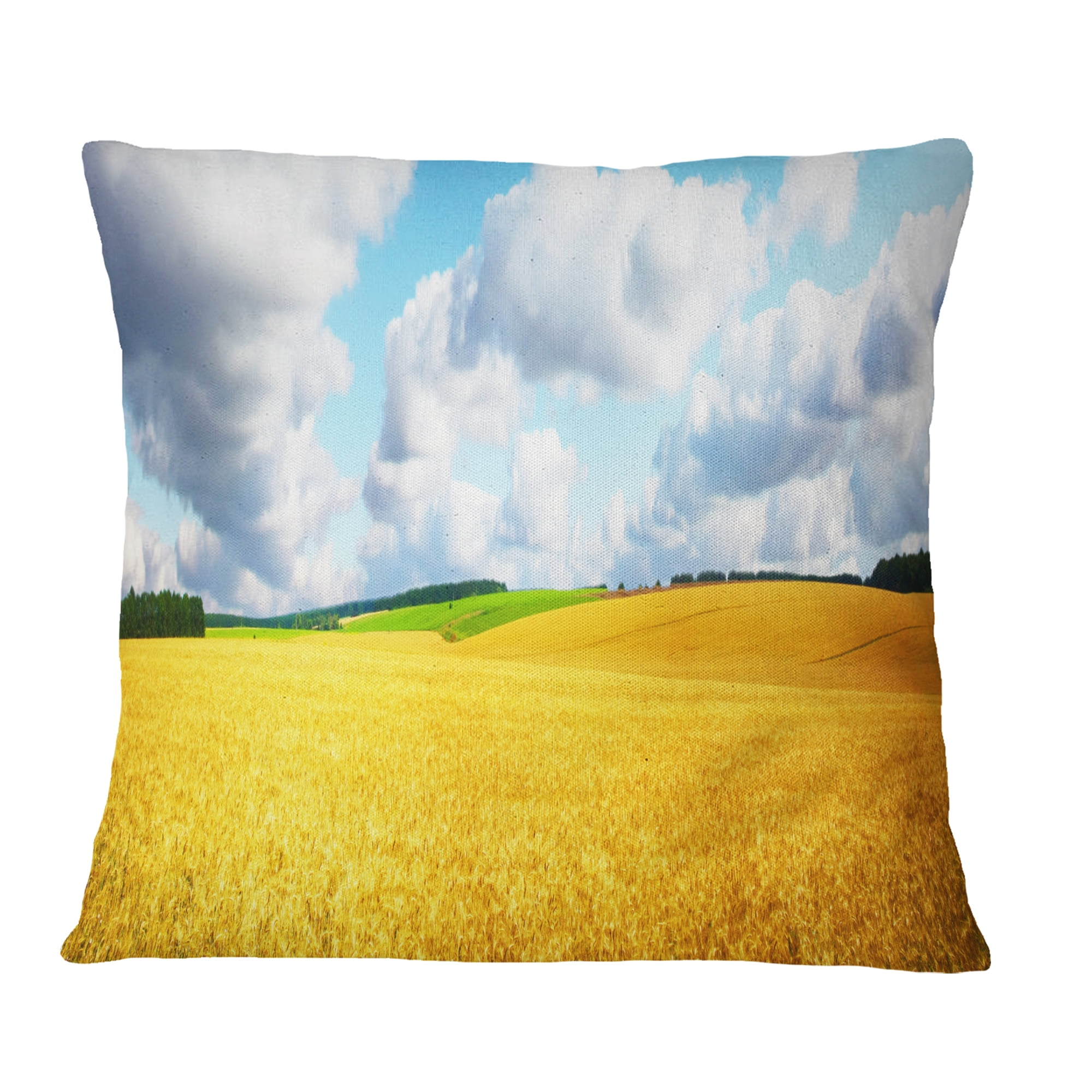 Designart Beautiful Field Panorama - Landscape Printed Throw Pillow - 18x18