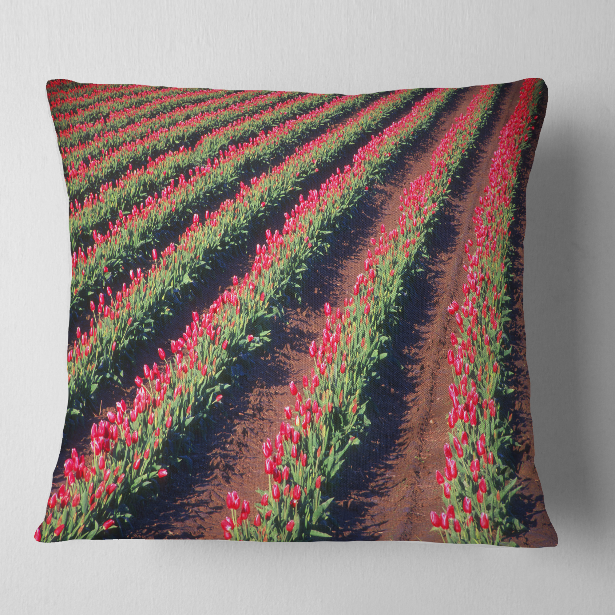 Designart Beautiful Field of Red Tulip Flowers - Landscape Printed Throw Pillow - 16x16