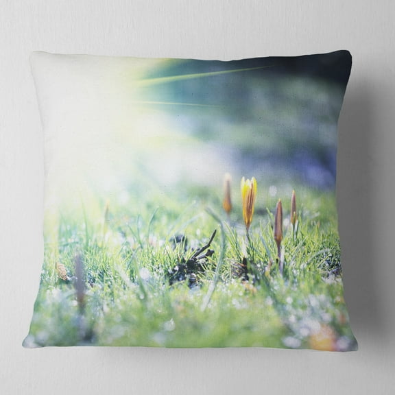 Designart Beautiful First Spring Flowers At Dawn - Floral Throw Pillow - 16x16