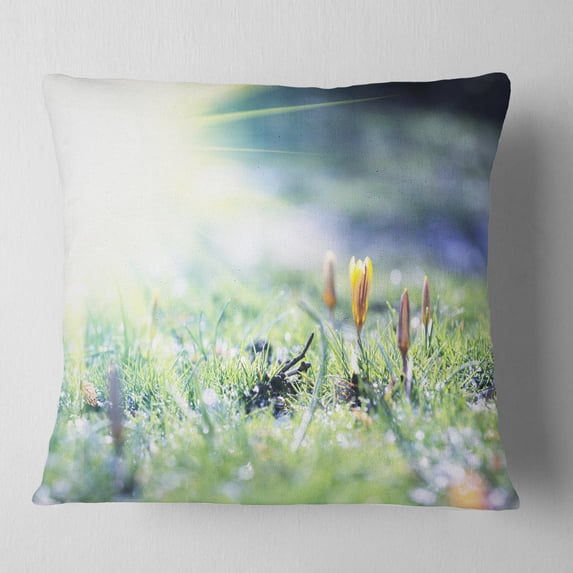 Designart Beautiful First Spring Flowers At Dawn - Floral Throw Pillow - 16x16