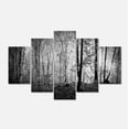 thumbnail image 1 of Designart 'Beautiful Forest Morning Panorama ' Landscape Canvas Art Print, 1 of 3