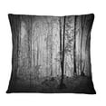 thumbnail image 1 of Designart Beautiful Forest Morning Panorama - Landscape Printed Throw Pillow - 16x16, 1 of 1