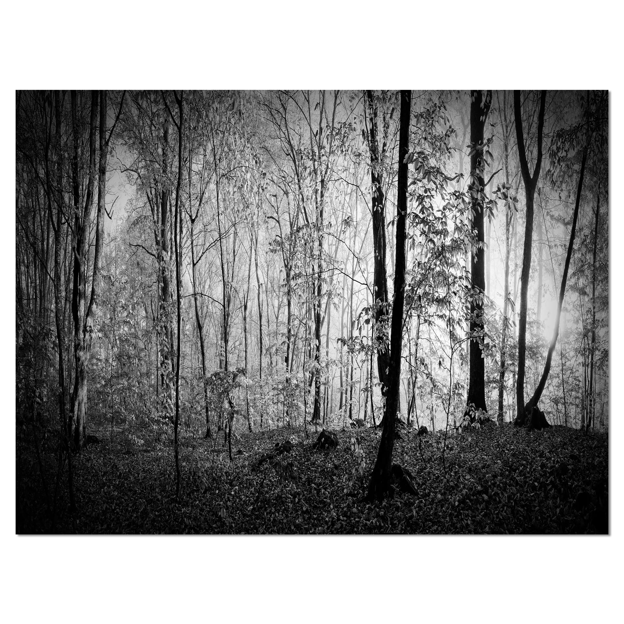 Designart 'Beautiful Forest Morning Panorama ' Large landscape Canvas Art Print