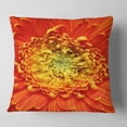 thumbnail image 1 of Designart Beautiful Gerbera Flower In Brig - Floral Throw Pillow - 18x18, 1 of 4