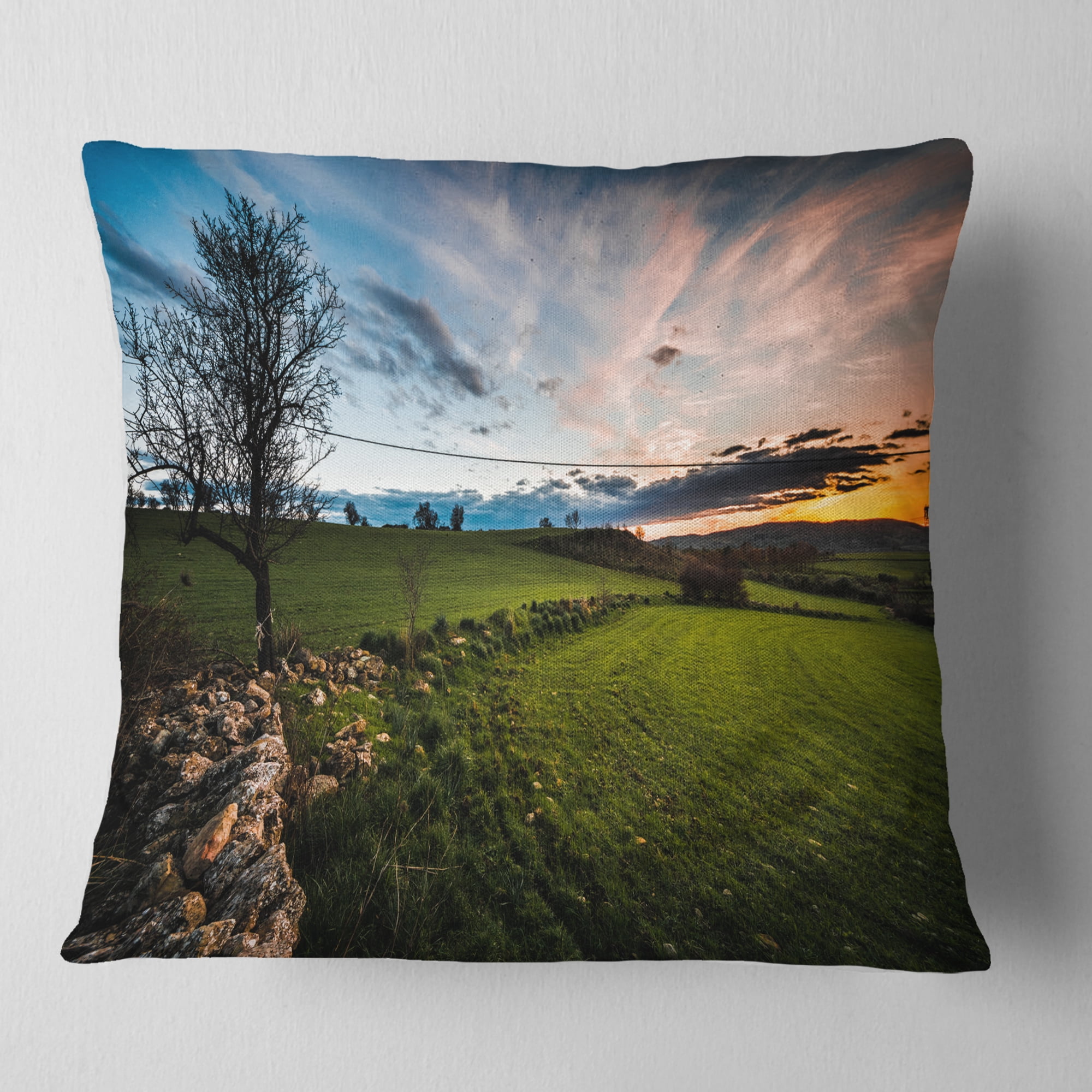 Designart Beautiful Green Meadow in Sardinia - Landscape Printed Throw Pillow - 16x16