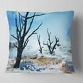 thumbnail image 1 of Designart Beautiful Land with Large Dry Trees - Landscape Printed Throw Pillow - 16x16, 1 of 4
