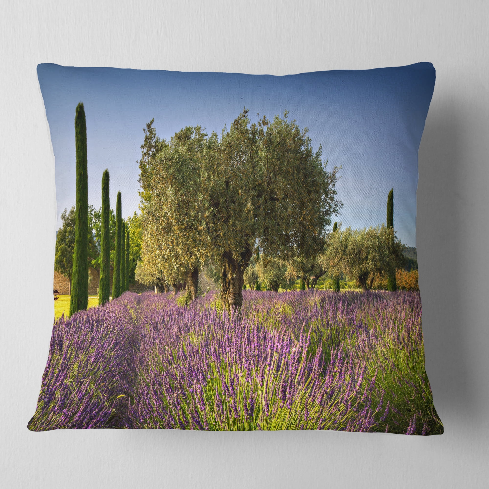 Designart Beautiful Lavender and Olive Trees - Flower Throw Pillow - 16x16
