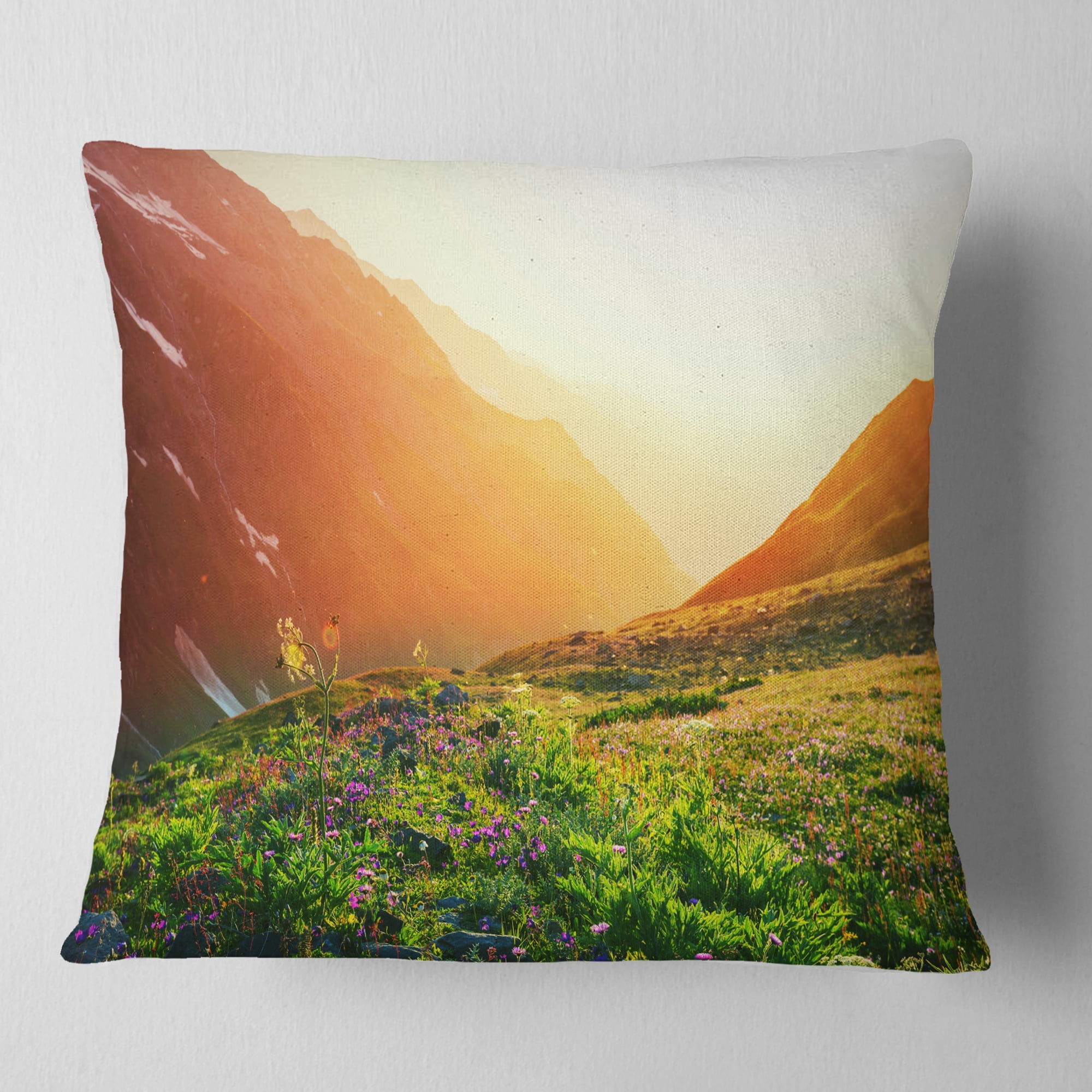 Designart Beautiful Meadow on Sunny Day - Landscape Printed Throw Pillow - 16x16