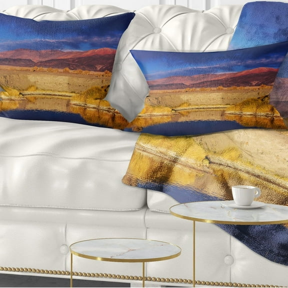 Designart Beautiful Northern Argentina View - African Landscape Printed Throw Pillow - 12x20