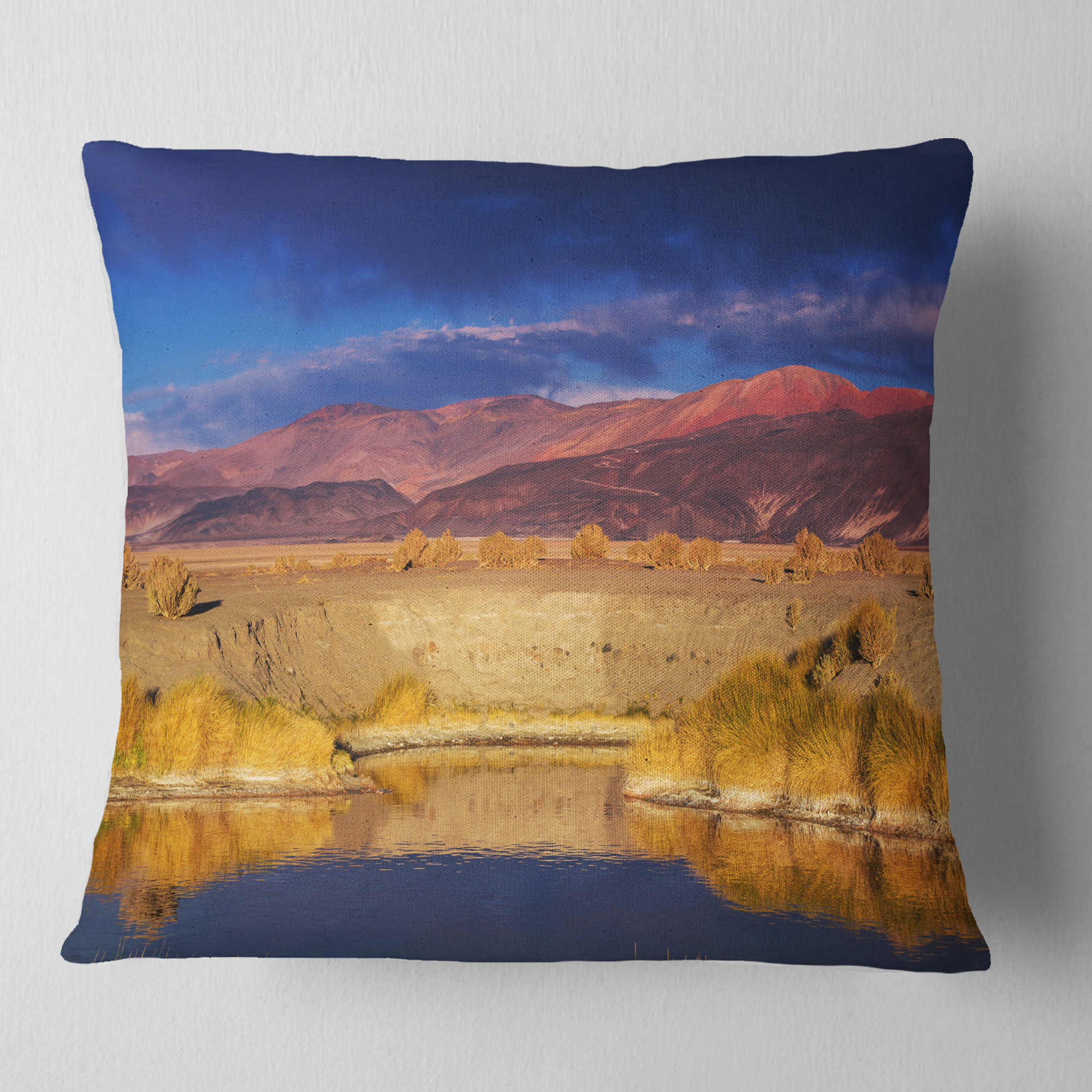 Designart Beautiful Northern Argentina View - African Landscape Printed Throw Pillow - 16x16