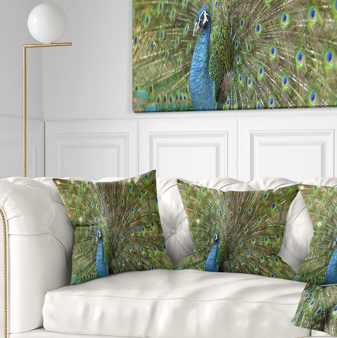 Designart Beautiful Peacock with Feathers - Animal Throw Pillow - 18x18