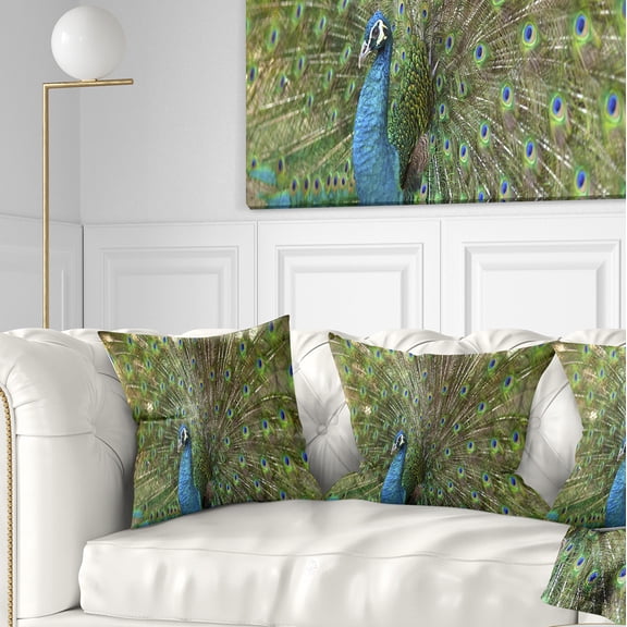Designart Beautiful Peacock with Feathers - Animal Throw Pillow - 18x18
