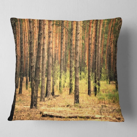 Designart Beautiful Pine Forest at Sunset - Modern Forest Throw Pillow - 18x18
