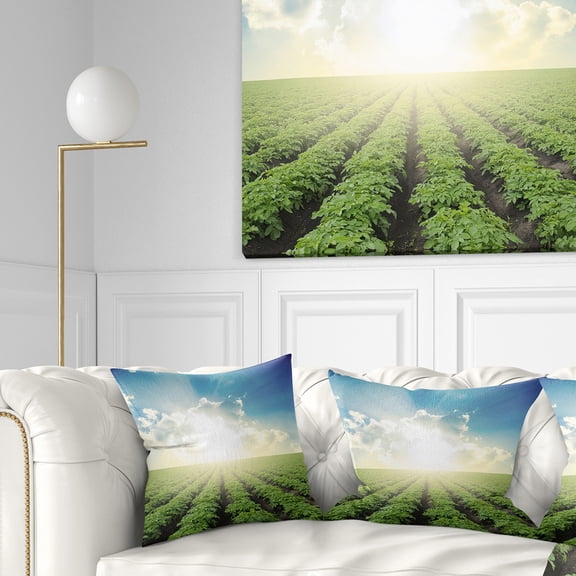 Designart Beautiful Potato Field At Sunset - Landscape Printed Throw Pillow - 16x16