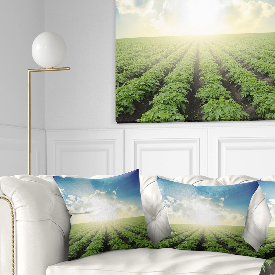 Designart Beautiful Potato Field At Sunset - Landscape Printed Throw Pillow - 18x18