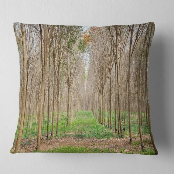 Designart Beautiful Rubber Plantation Photo - Modern Forest Throw Pillow - 16x16