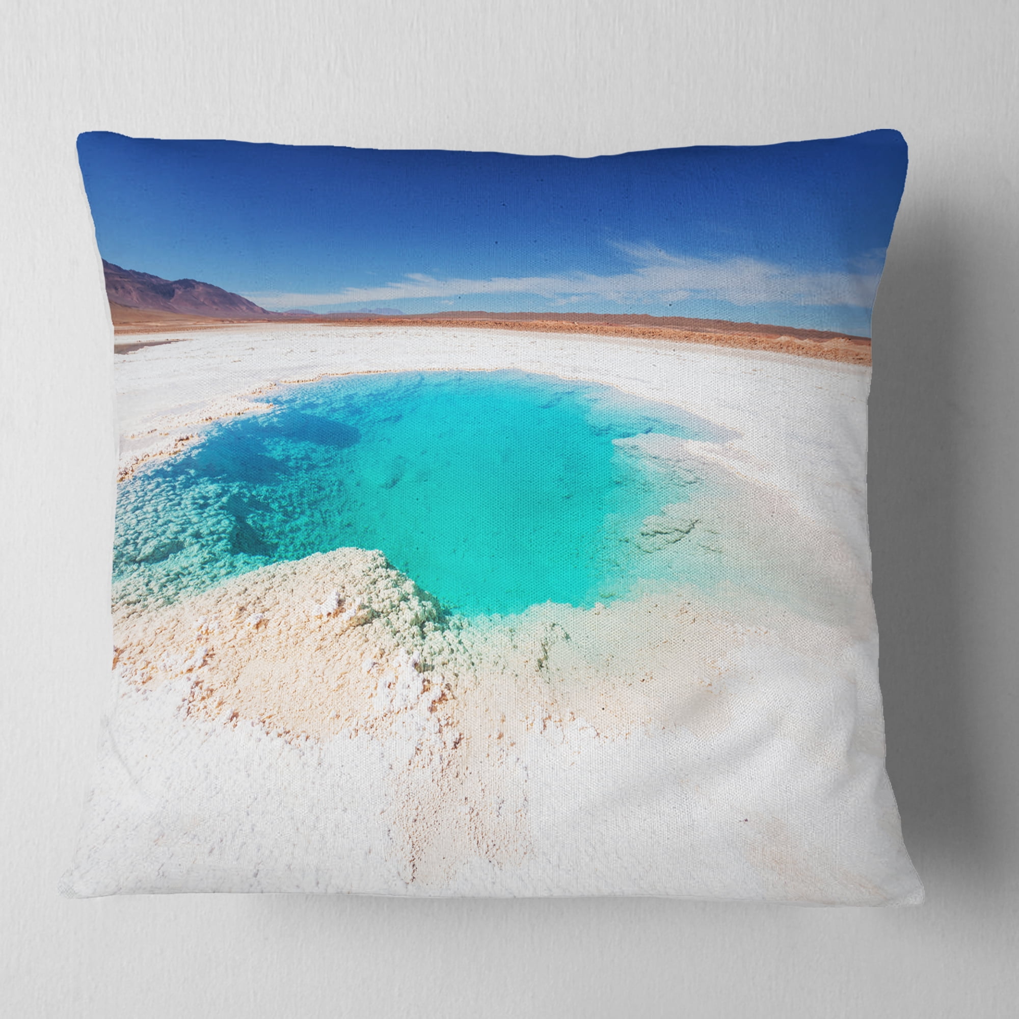 Designart Beautiful Salinas Lake in Argentina - Landscape Printed Throw Pillow - 18x18