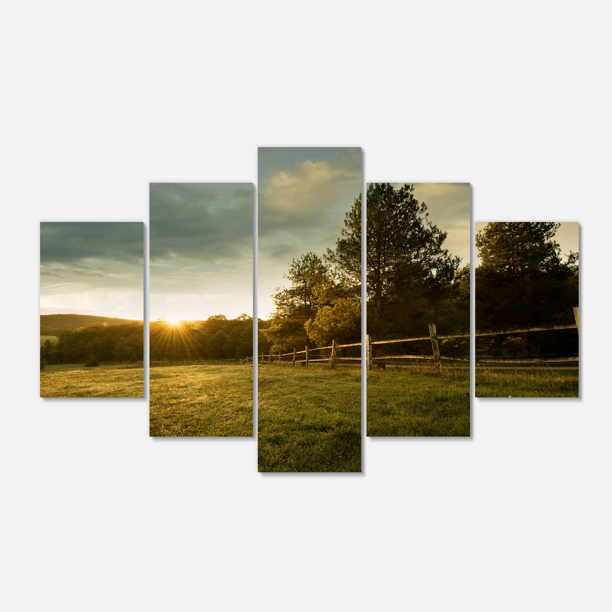 Designart 'Beautiful Sunrise in the farm ' Landscape Canvas Art Print