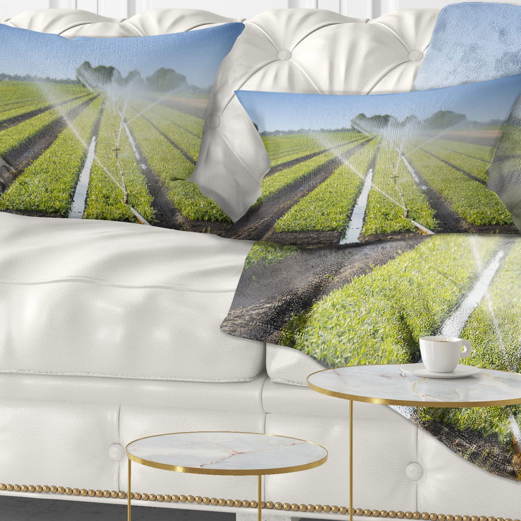 Designart Beautiful View of Crops Watering - Landscape Printed Throw Pillow - 12x20