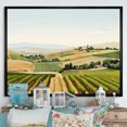 thumbnail image 1 of Designart "Beautiful Vineyard Panorama II" Vineyard Floater Framed Wall Art Prints, 1 of 5