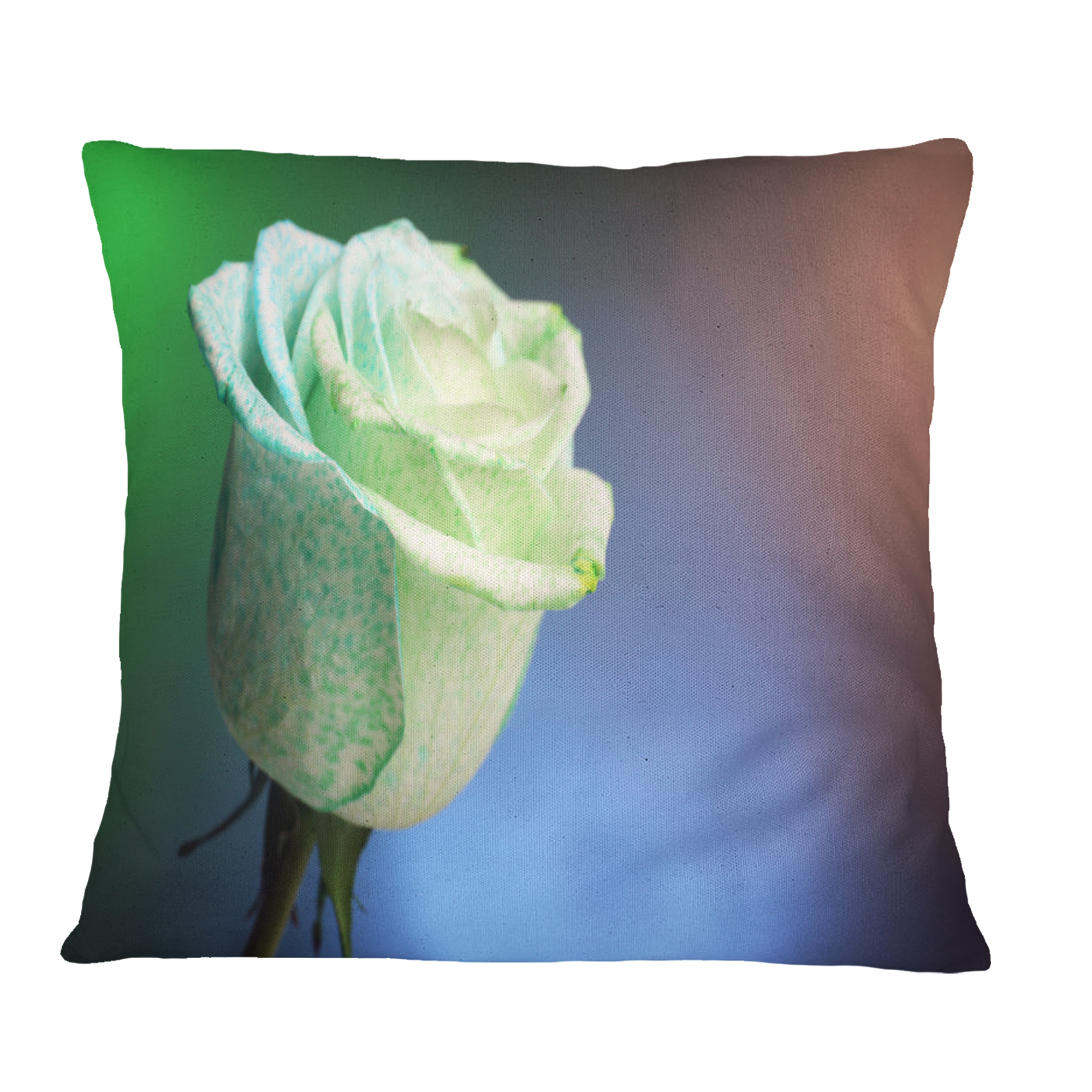 Designart Beautiful White Painted Rose - Floral Throw Pillow - 18x18