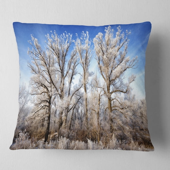 Designart Beautiful Winter Evening View - Landscape Printed Throw Pillow - 16x16