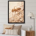 thumbnail image 1 of Designart "Beige Collage Of Minimalist Ant I" Animals Ant Picture Framed Canvas Prints, 1 of 5