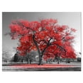 thumbnail image 1 of Designart 'Big Red Tree on Foggy Day ' Landscape Canvas Art Print, 1 of 3