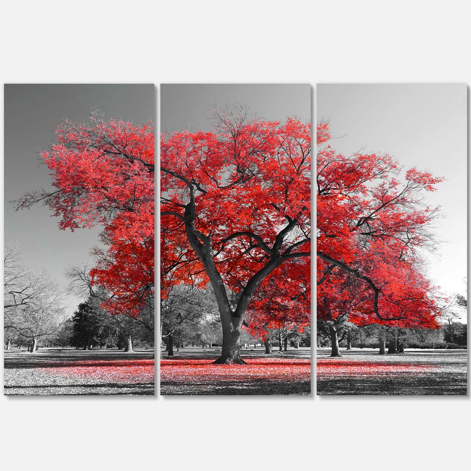 Big Red Tree on Foggy Day Landscape Canvas Art Print, 36"x28"